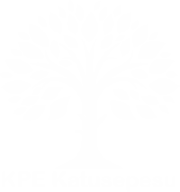 KPE Katusepesu